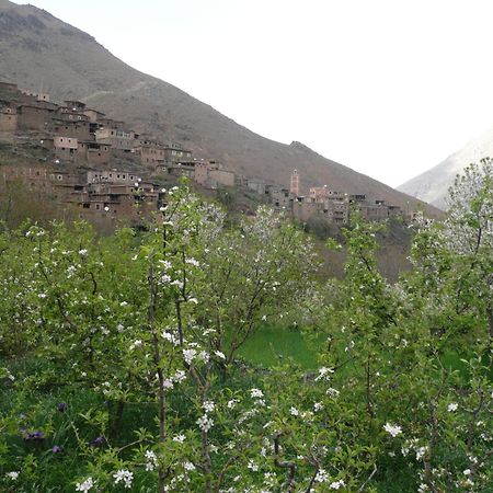 Gite Atlas Mazik Imlil (Atlas Mountains) Exterior foto