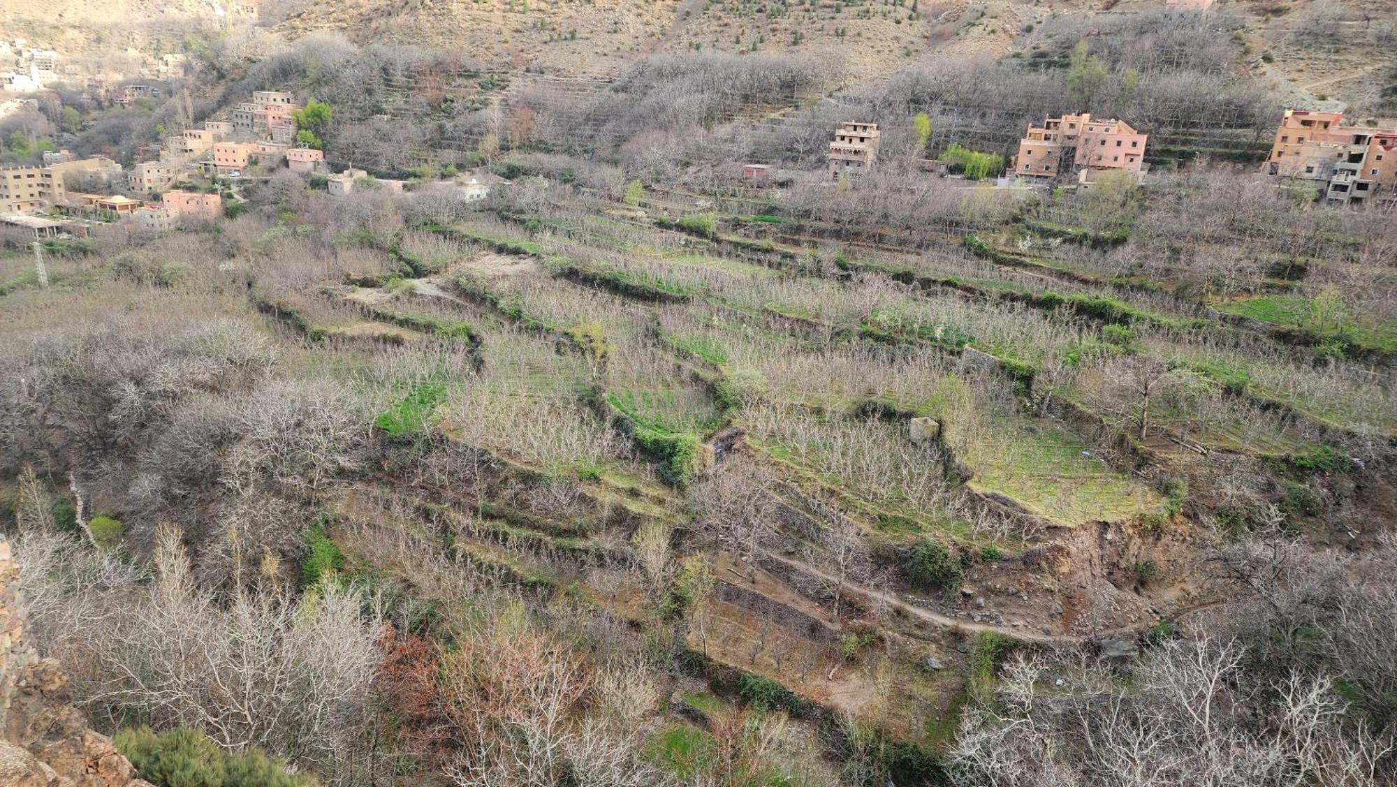 Gite Atlas Mazik Imlil (Atlas Mountains) Quarto foto