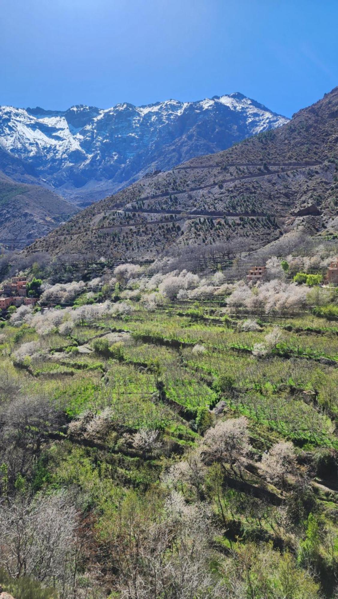 Gite Atlas Mazik Imlil (Atlas Mountains) Exterior foto