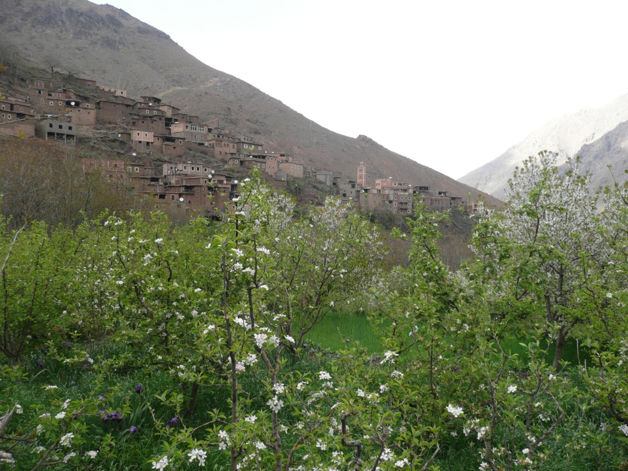 Gite Atlas Mazik Imlil (Atlas Mountains) Exterior foto