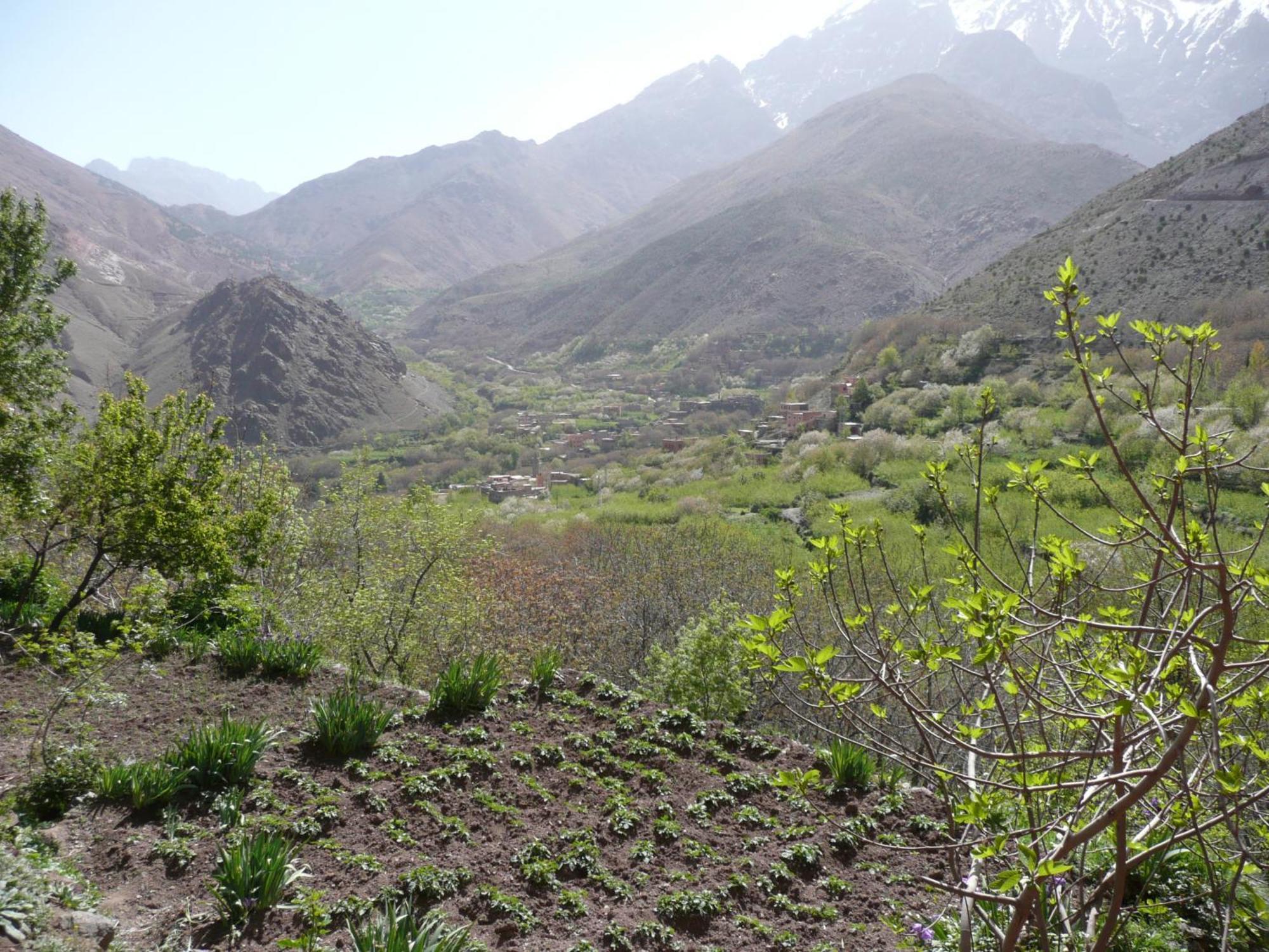 Gite Atlas Mazik Imlil (Atlas Mountains) Exterior foto
